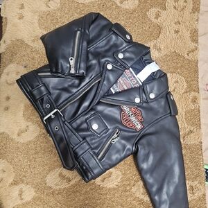 Harley-Davidson Black and Red Leather Jacket